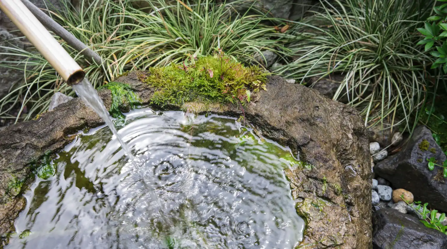 Imashi Landscape Design