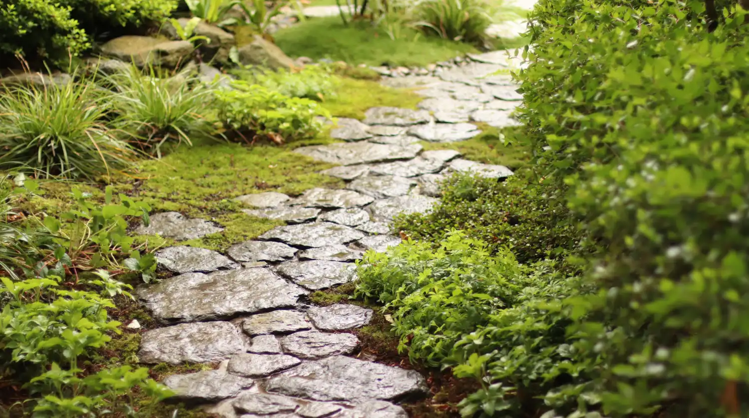 Imashi Landscape Design