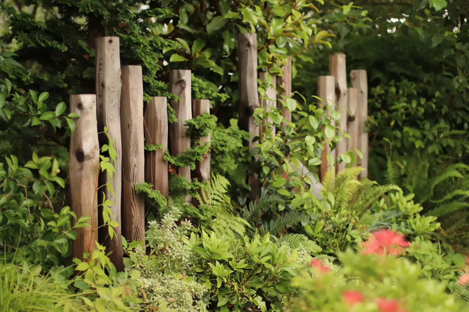 Imashi Landscape Design